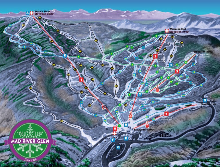 Mad River Glen Trail Map Vertical Drop Stats Profile Ny Ski Directory