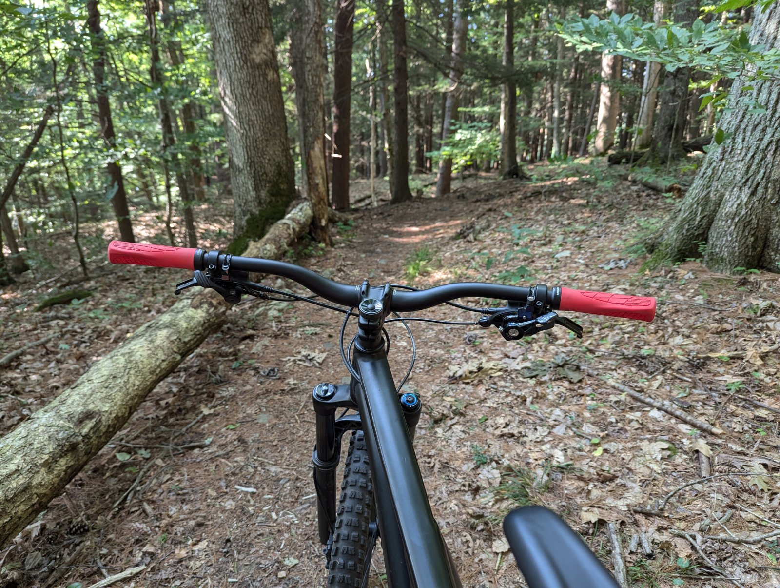 MTB