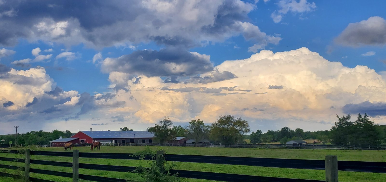 equestrian center