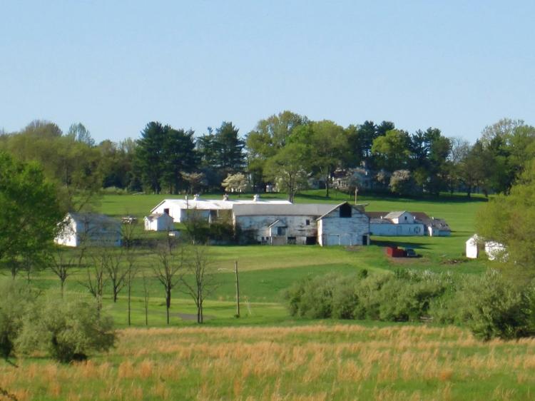 3_Farm_House.jpg