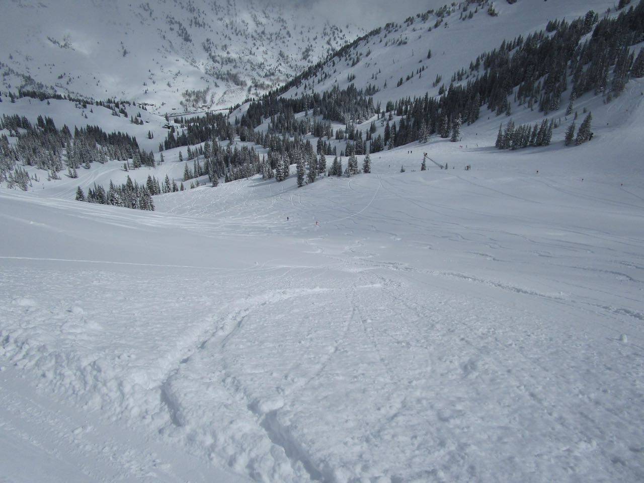 Alta Ballroom first tracks start 2019.jpg