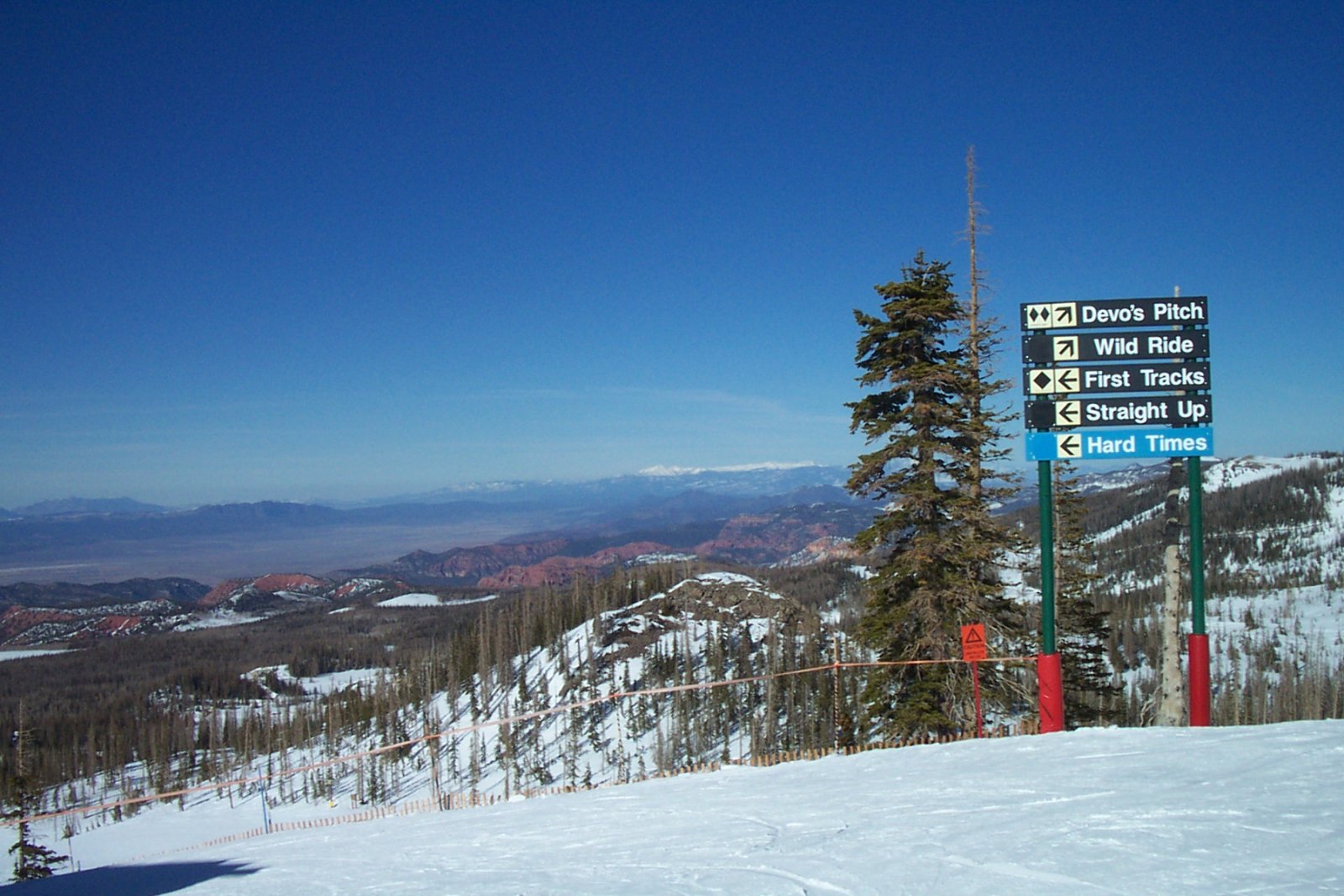 BH Dunes Chair.jpg