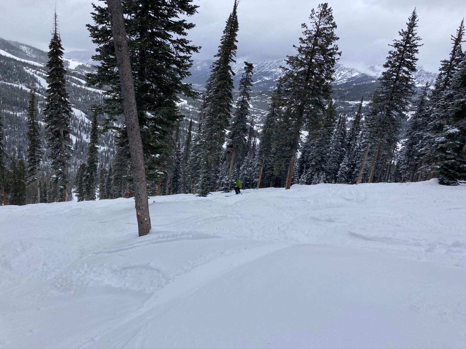 Big Sky fresh snow 10Mar2023 - 1.jpeg