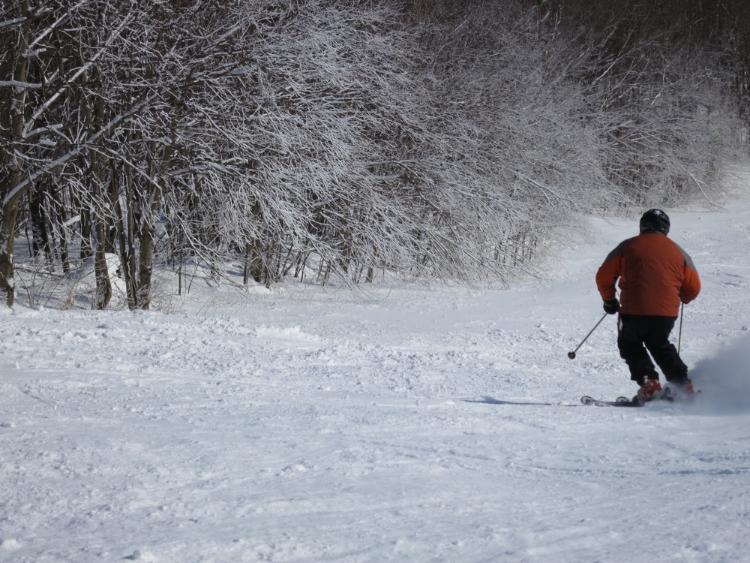 Blockbuster-Skiers-Left.jpg