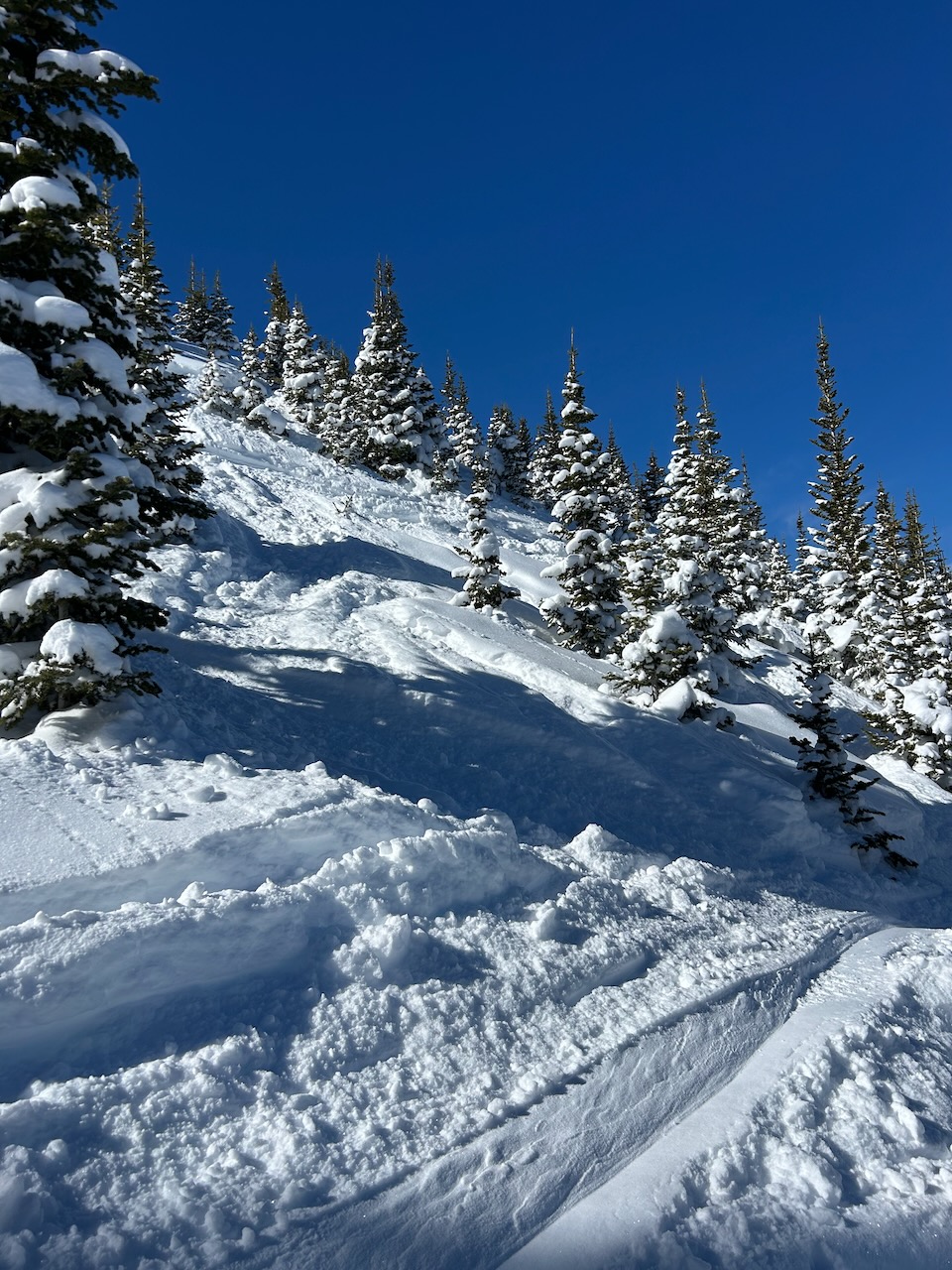 Brian Head 16Mar2025 intro - 4.jpeg