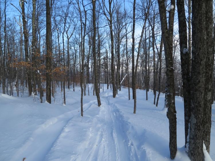 Cat-Track-Ski-Bowl-Glades.jpg