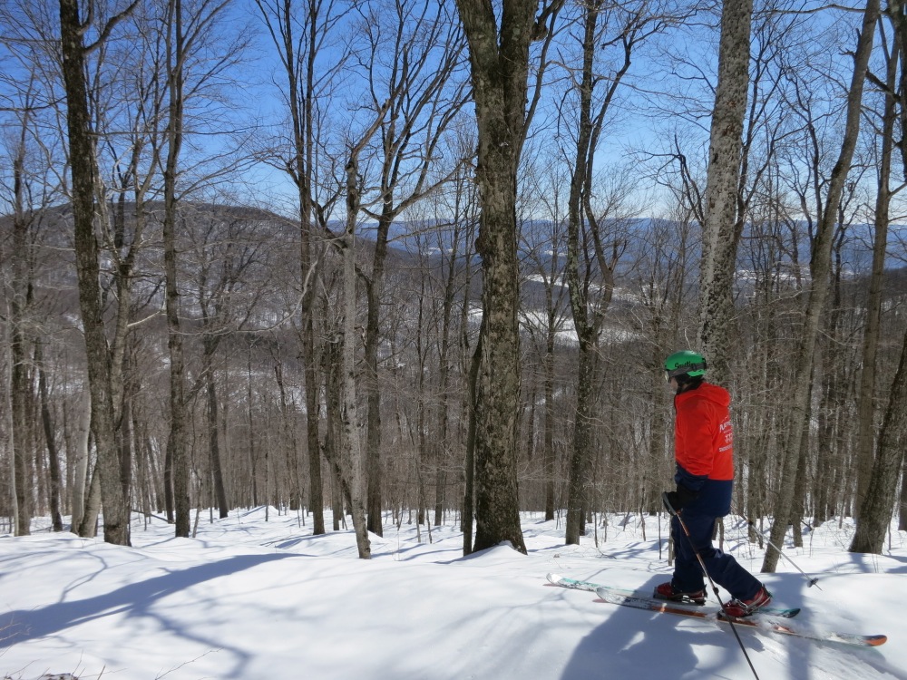 Catskill-Freeheel-eyes-the-trees.jpg