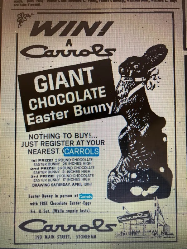 chocolate bunny.jpg