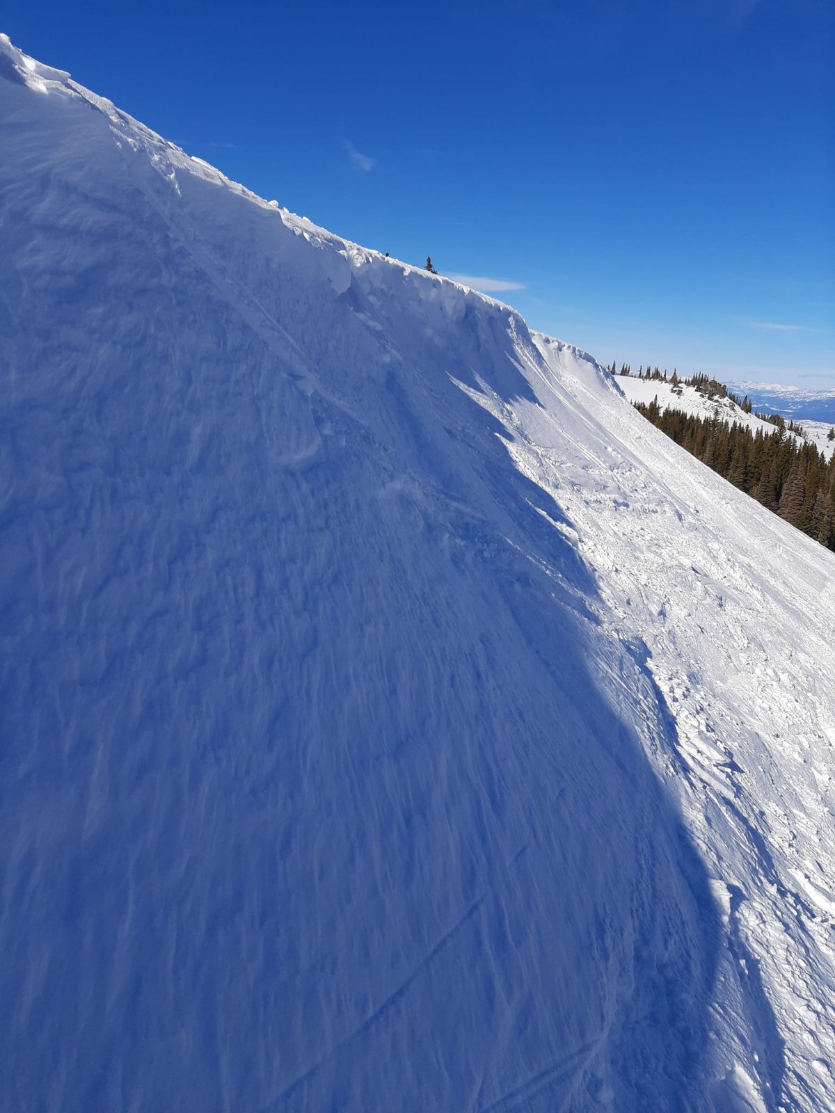 cornice.jpg