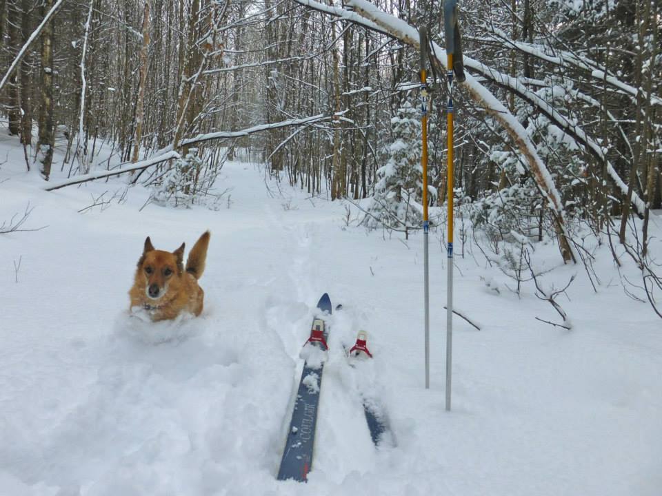 dec 19 2013 Utah.jpg