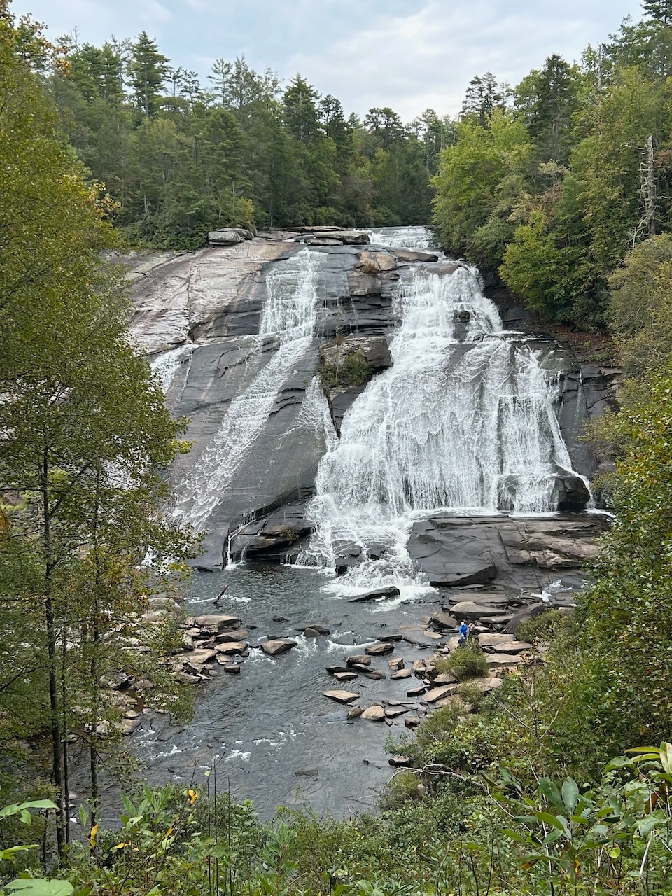Dupont Forest Sep2025 - 3.jpeg