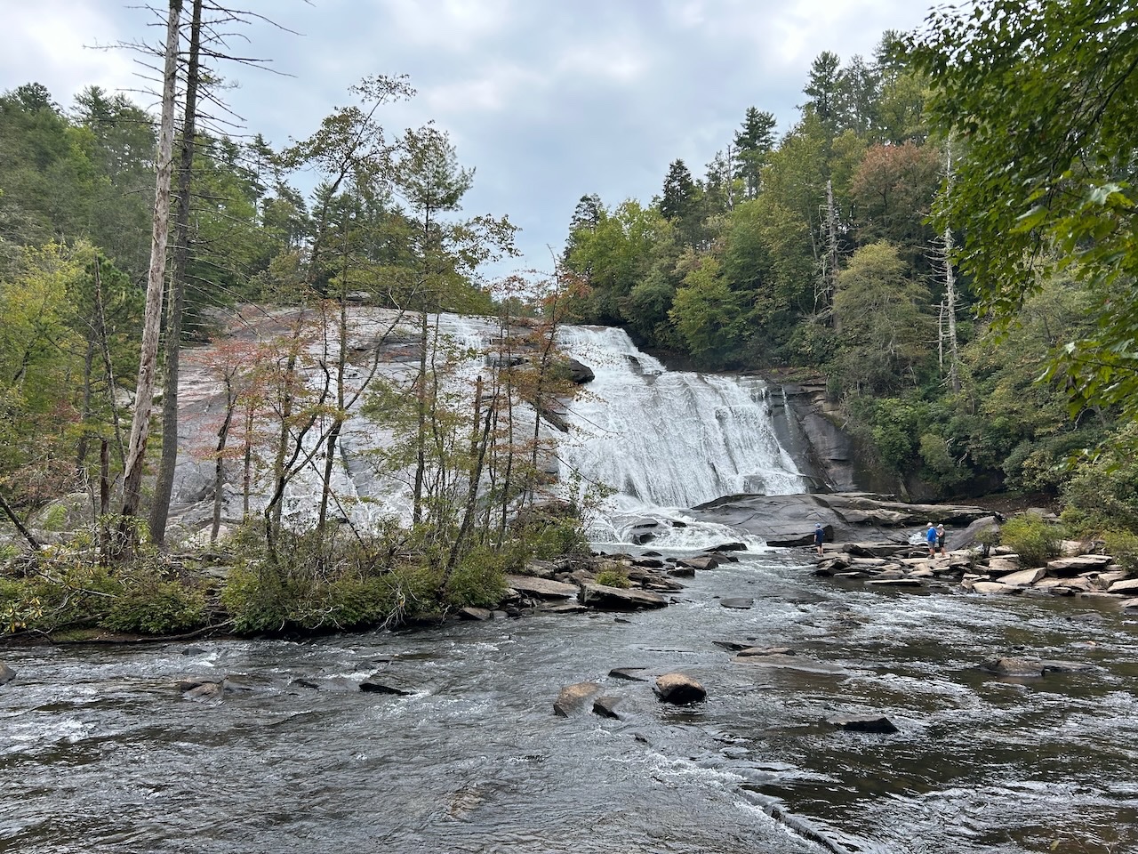 Dupont Forest Sep2025 - 4.jpeg