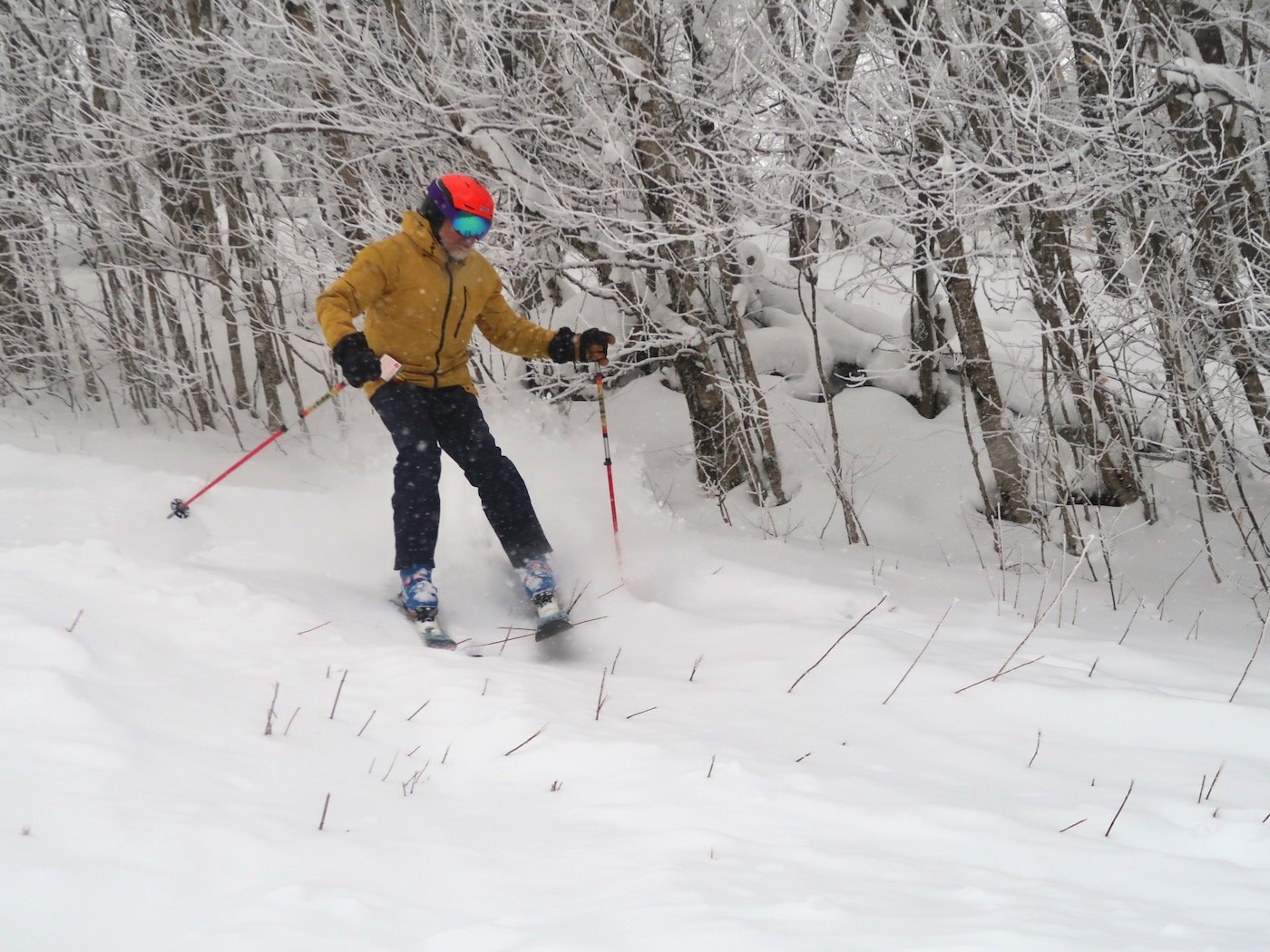 grass-skiing