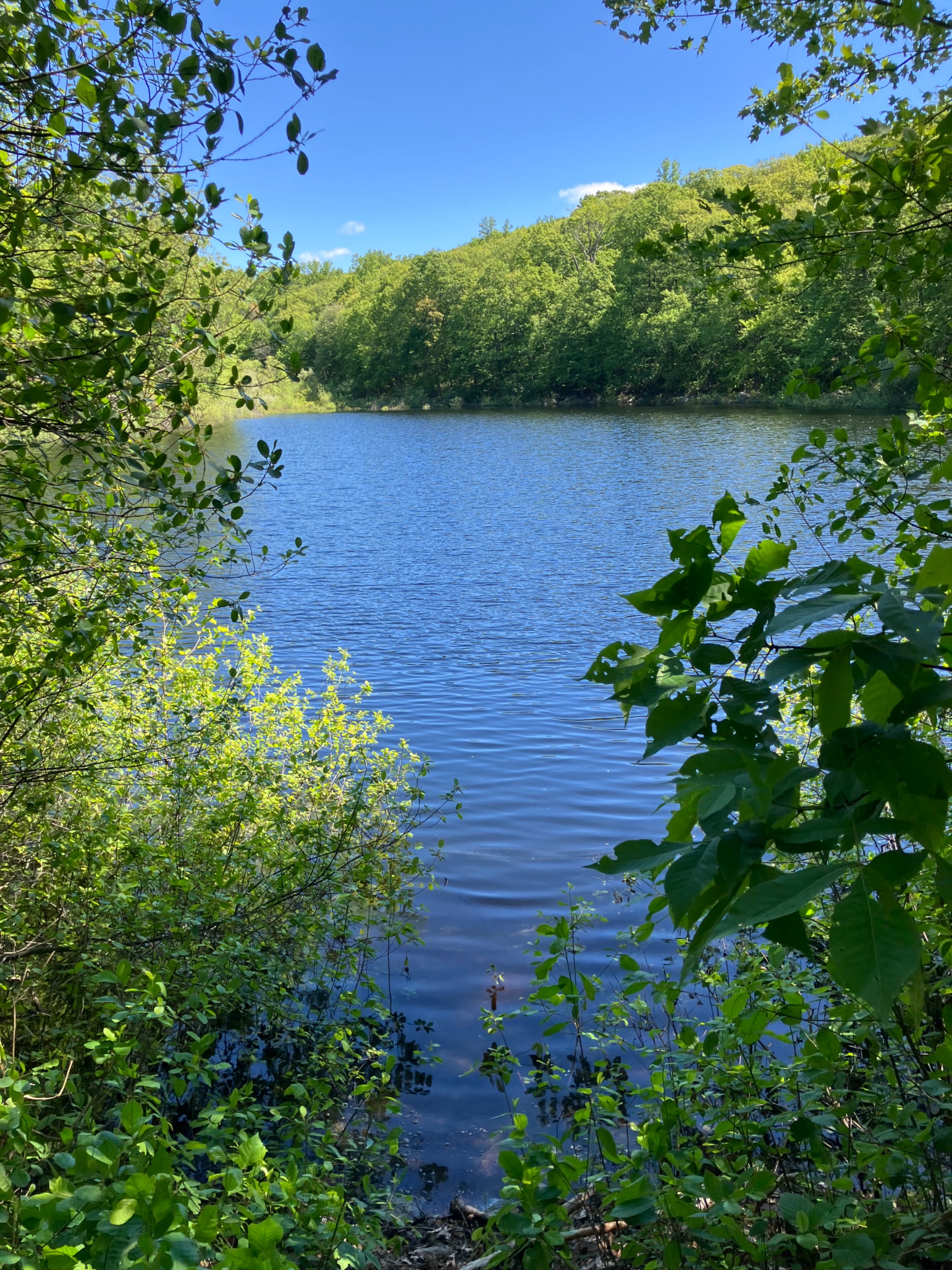 IMG_0591.jpeg