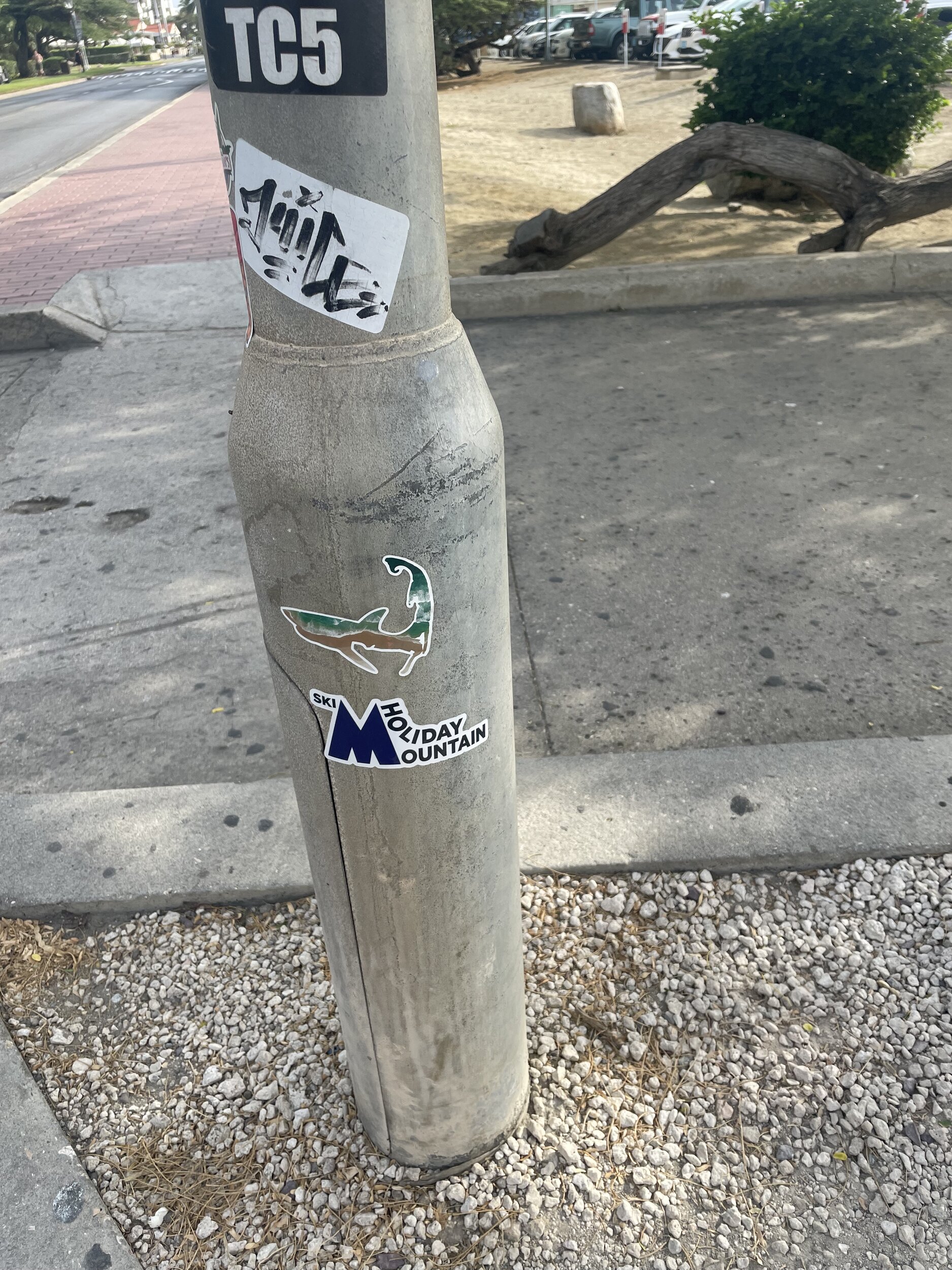 IMG_7400.jpeg