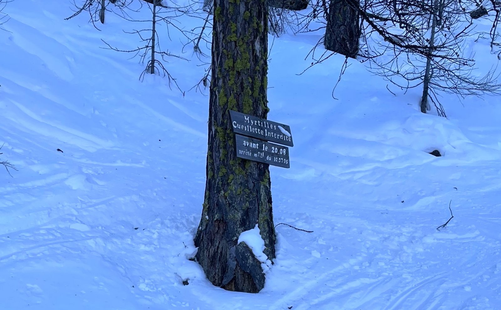 Serre Chevalier.JPG