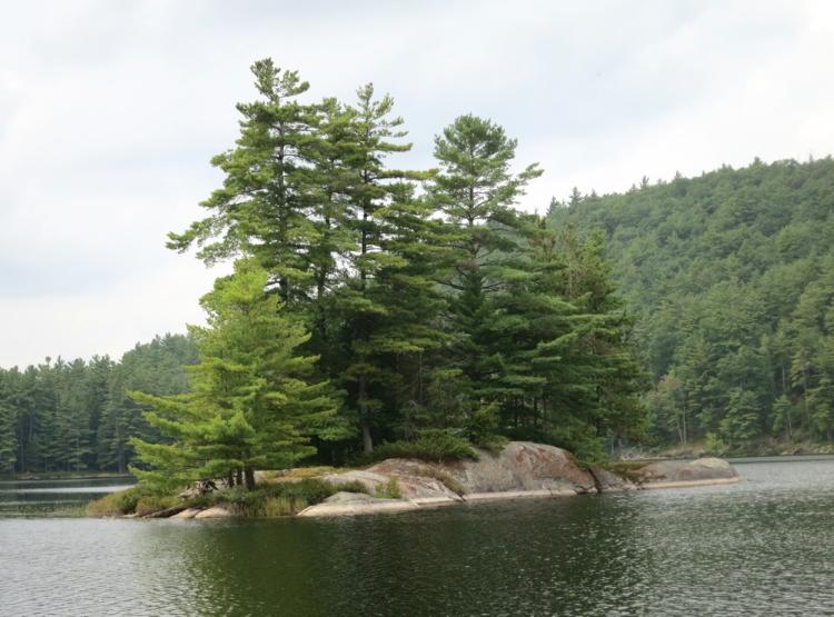 Island-on-Rock-Pond.jpg