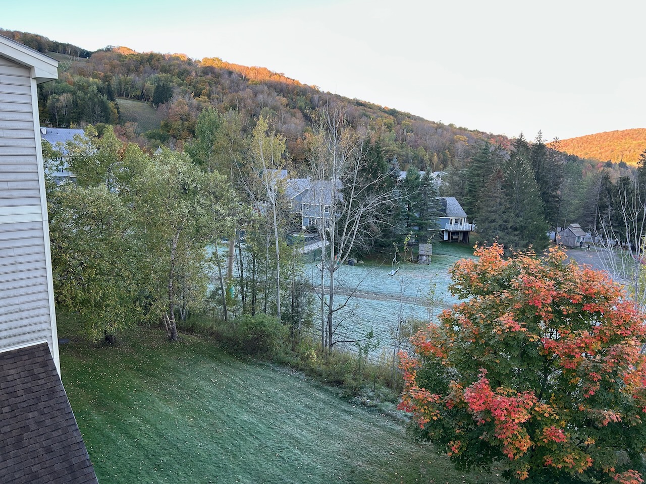 Jiminy Peak frost 10Oct2025 - 1.jpeg