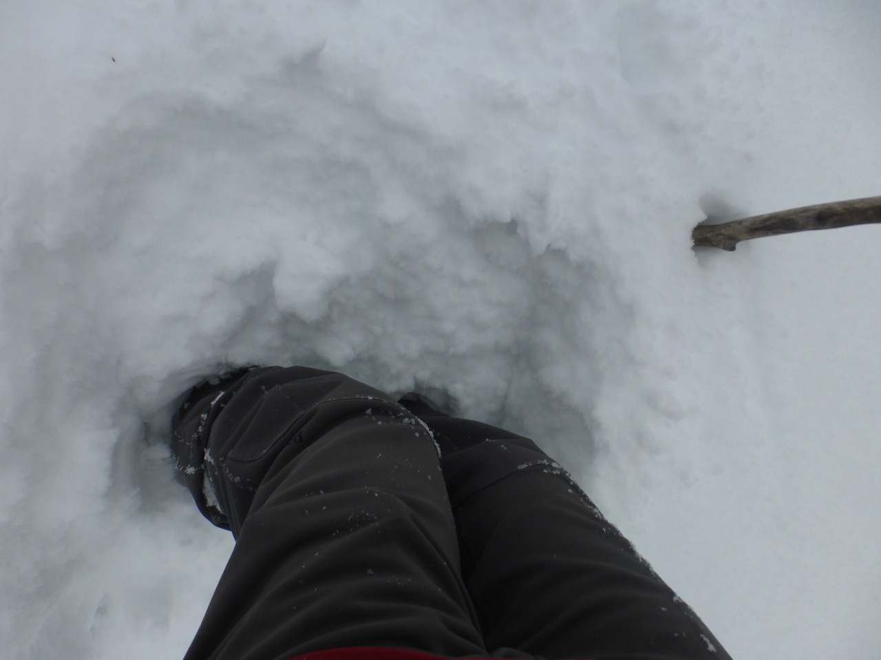 Knee deep on snowshoes.jpg