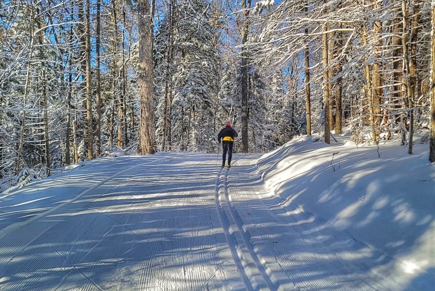 mount-van-hoevenberg-trail.jpg