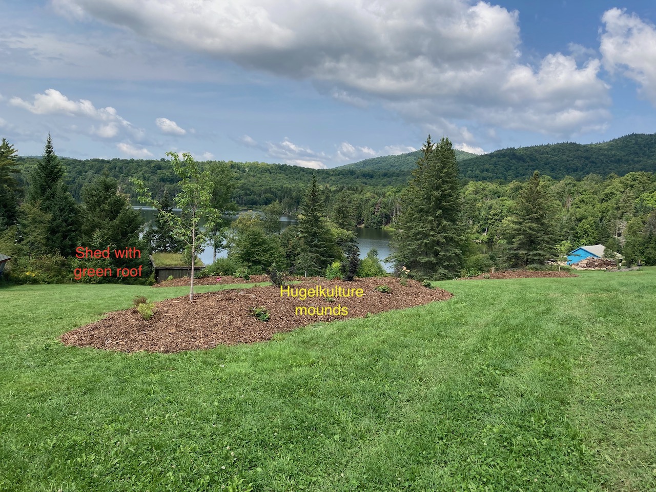 NCS green roof on lake hill.jpeg