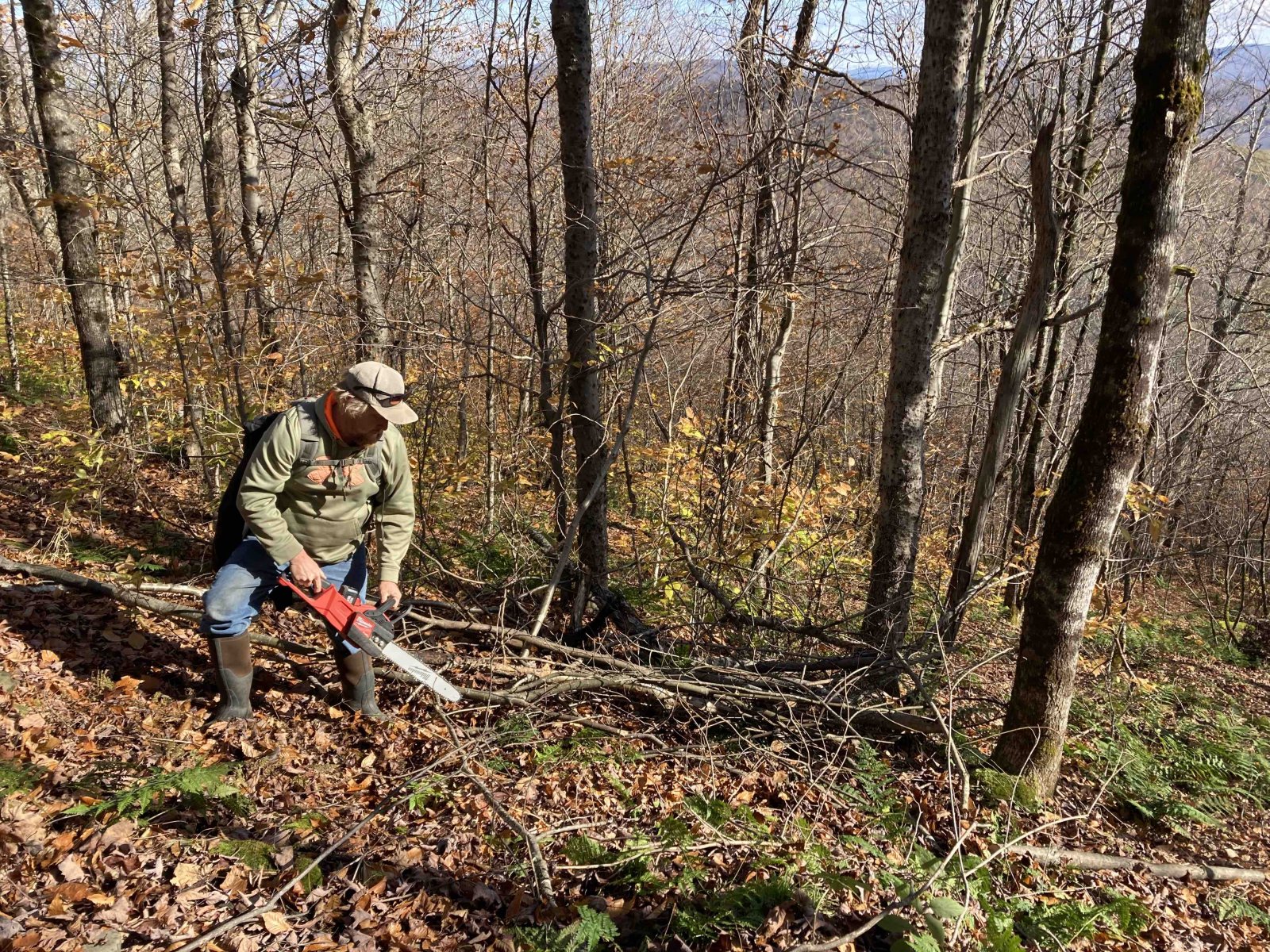 Plattekill chainsaw Oct2021 - 1.jpg