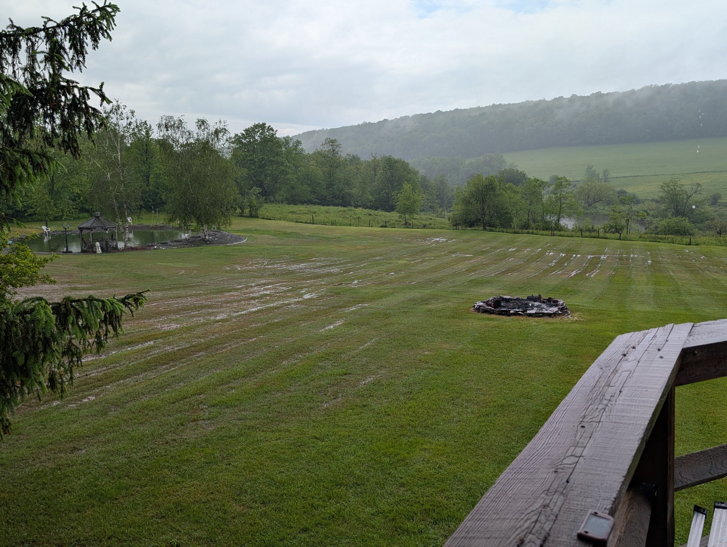 PXL_20250606_173252457.jpg