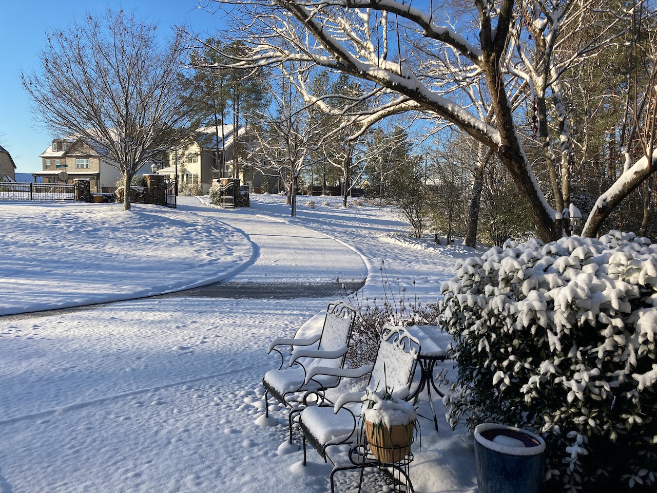 Ridgefield snow 22Jan - 1.jpeg