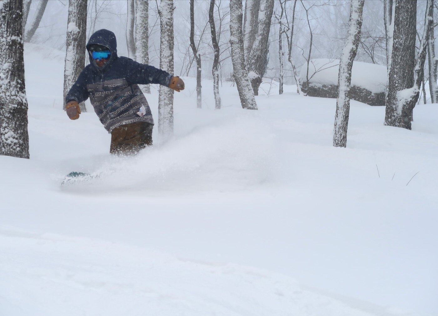 robert-slash - 1.jpeg