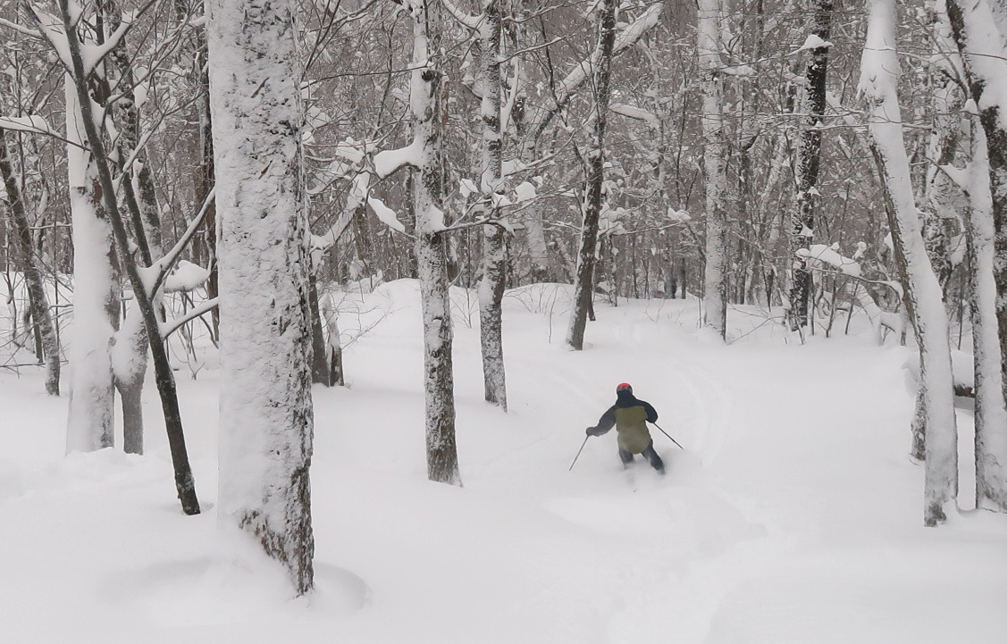 Scott in the trees