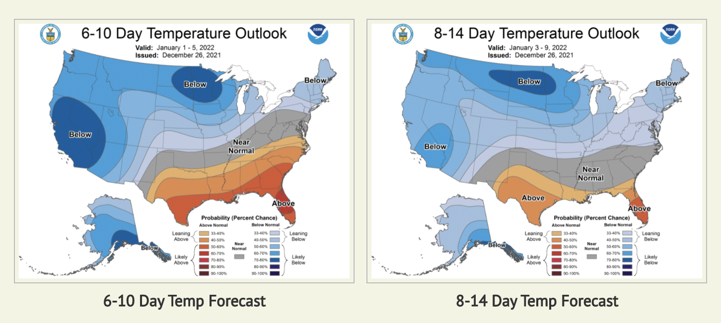 temp forecast