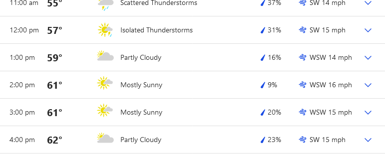 Screenshot 2023-03-31 at 16-51-21 Hourly Weather Forecast for Roxbury NY - The Weather Channel...png