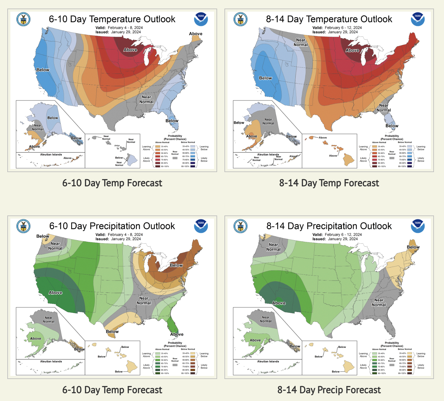 medium term forecast