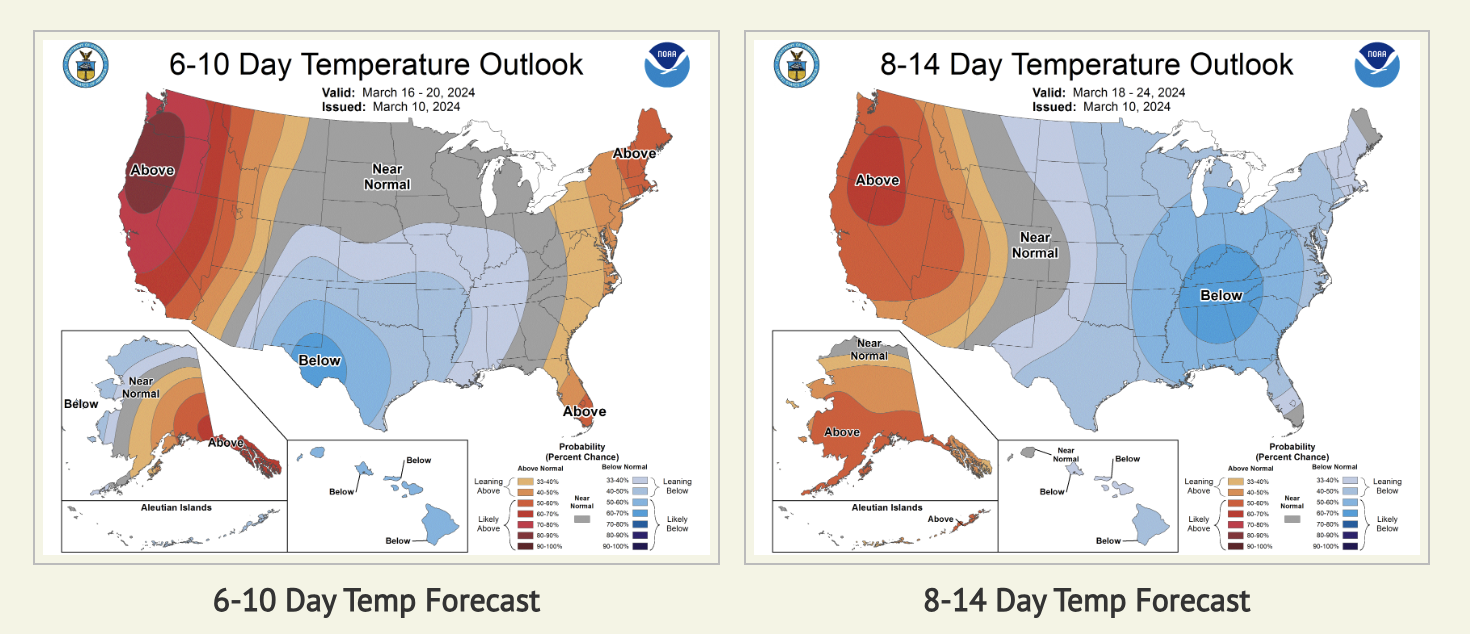 temperature forecast