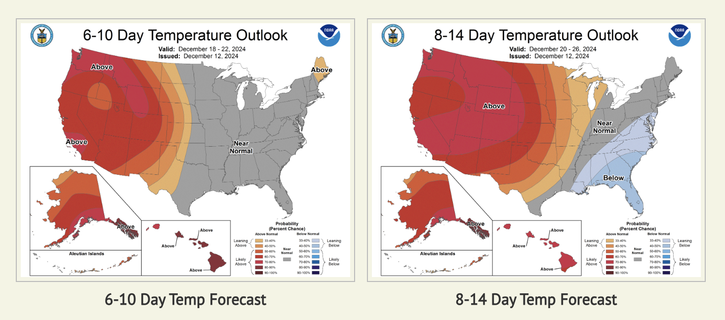 Temp Forecast