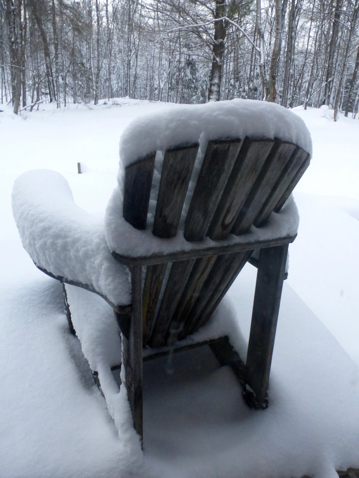 Snow chair 12-2-20.jpg