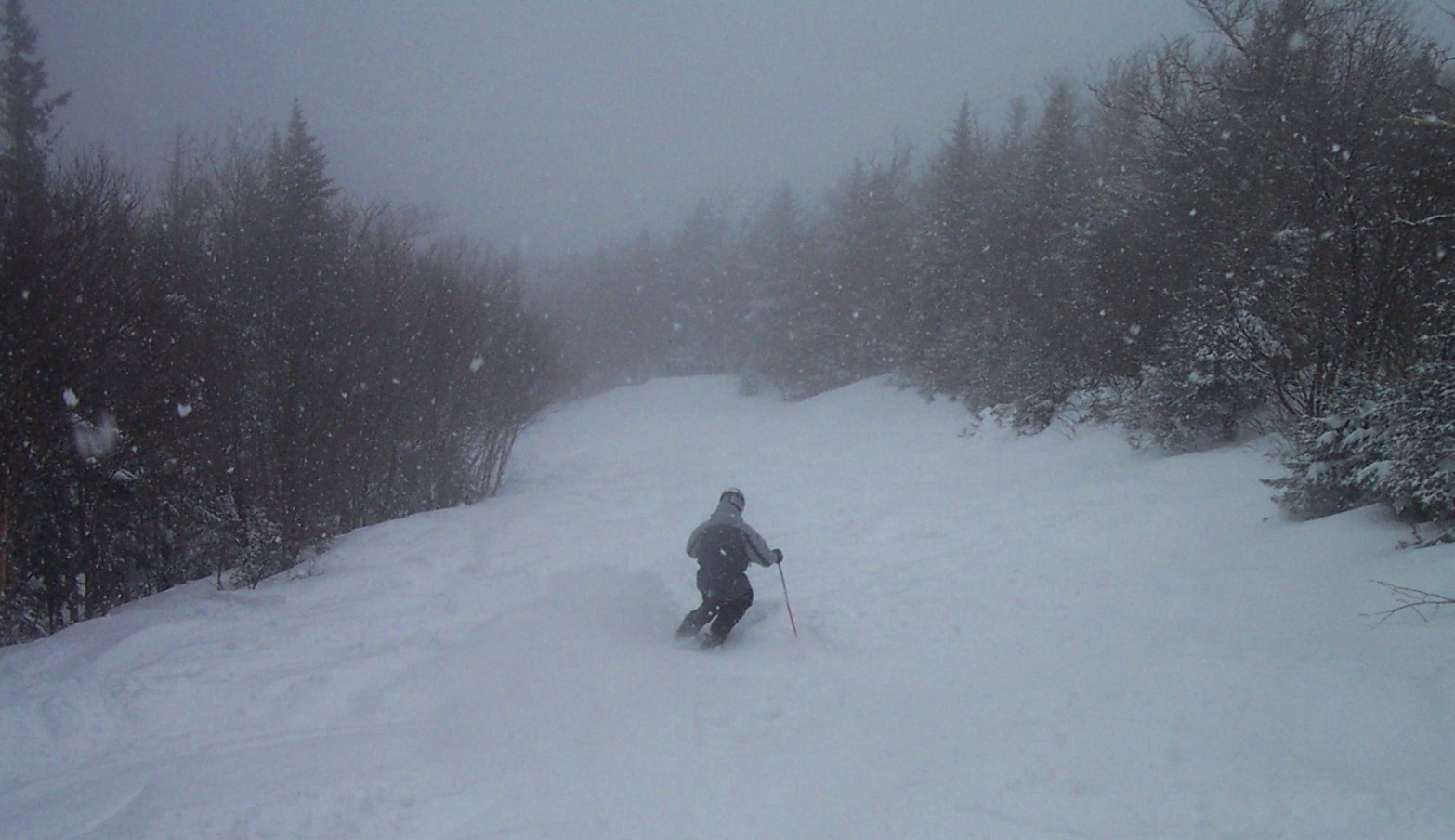 Stowe 04-12-07 c.jpg