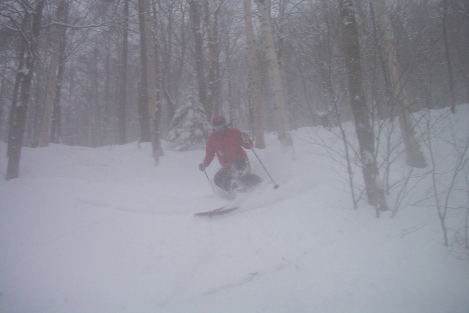 Stowe 04-12-07 f.jpg