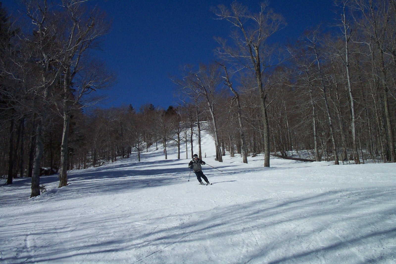 Sugarbush North d.jpg