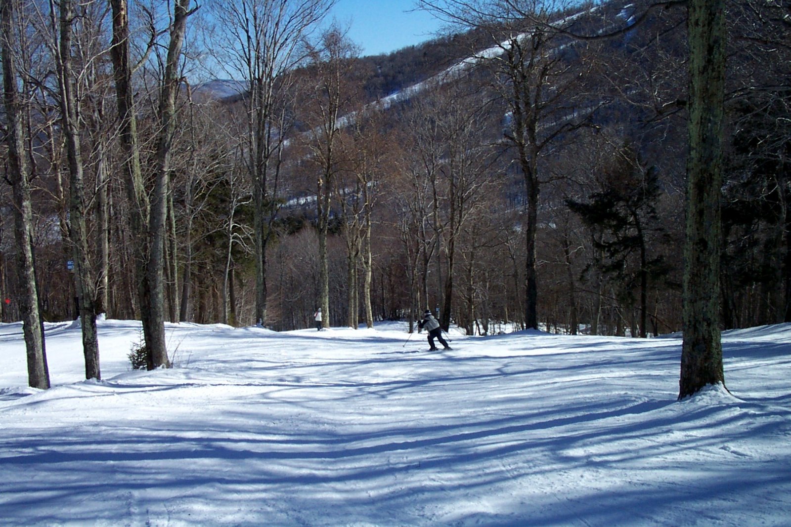 Sugarbush North e.jpg