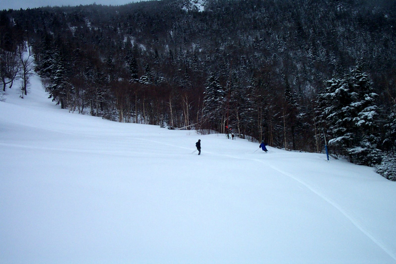 Sugarbush, Paradise.jpg