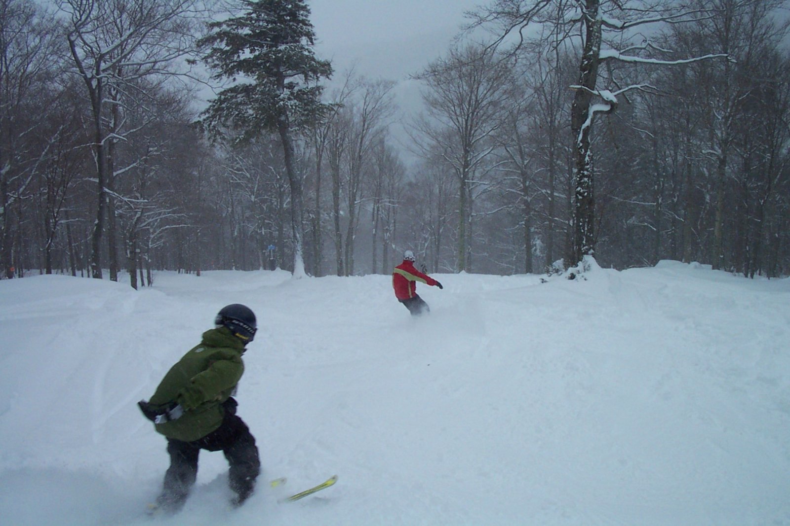 Sugarbush, Sleeper Woods.jpg