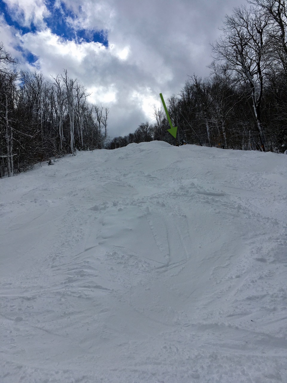 TImberline The Drop Feb2021.jpg