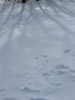 IMG_0945.jpeg