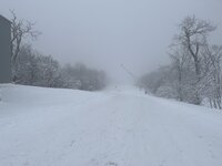 IMG_2088.jpeg