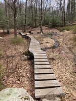 IMG_0406.jpeg