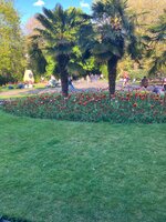 IMG_0428.jpeg