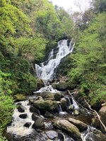 IMG_0443.jpeg