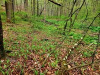 20250426_100633.jpg