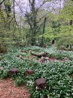 img_0437-jpeg.jpg